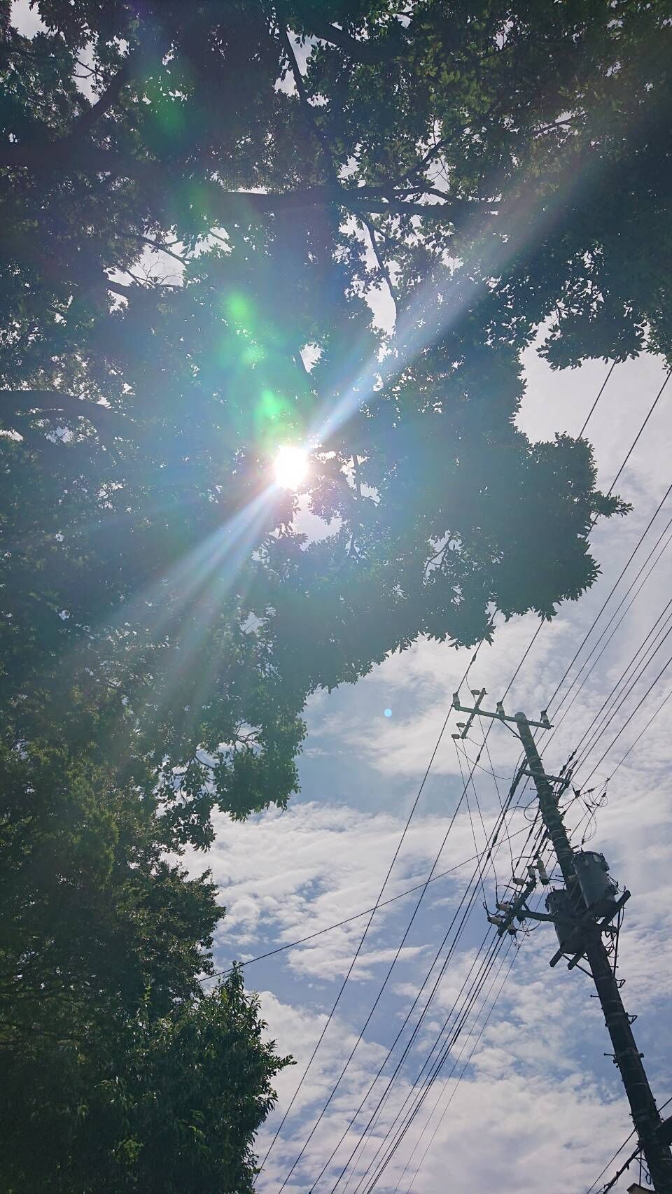 2728