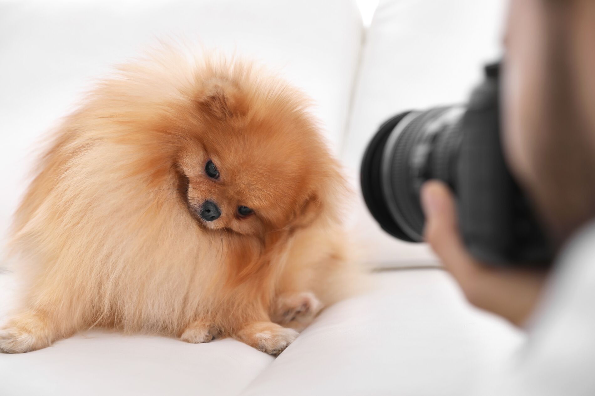 AdobeStock_311004070