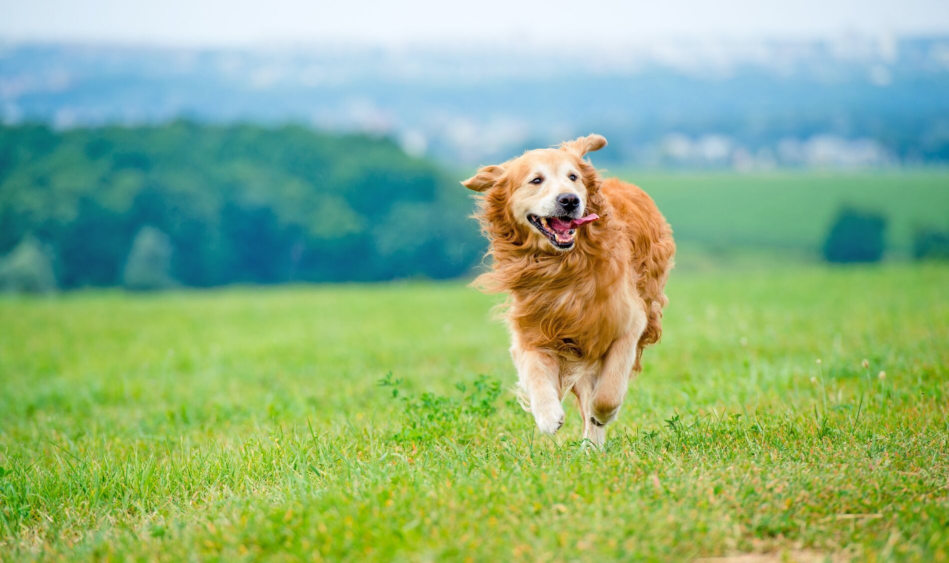 AdobeStock_70998231