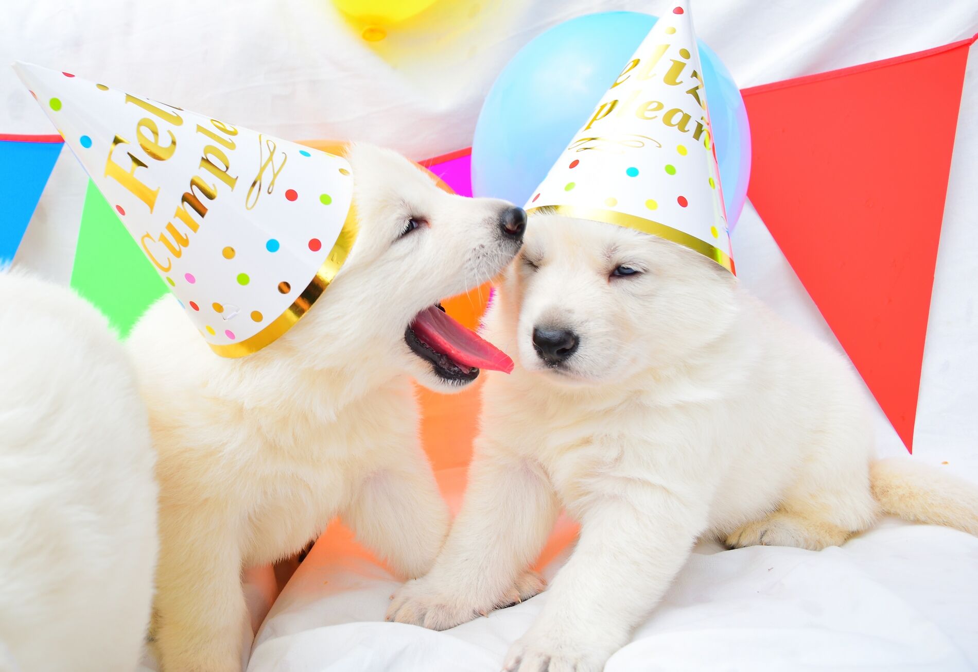 AdobeStock_272602182